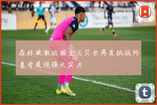 森林狼激战掘金戈贝尔再度挑战约基奇展现强大实力