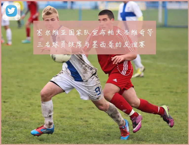 塞尔维亚国家队宣布帕夫洛维奇等三名球员缺席与墨西哥的友谊赛